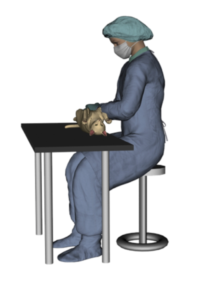 Surgical Ergonomics setting up the physical space ergovet