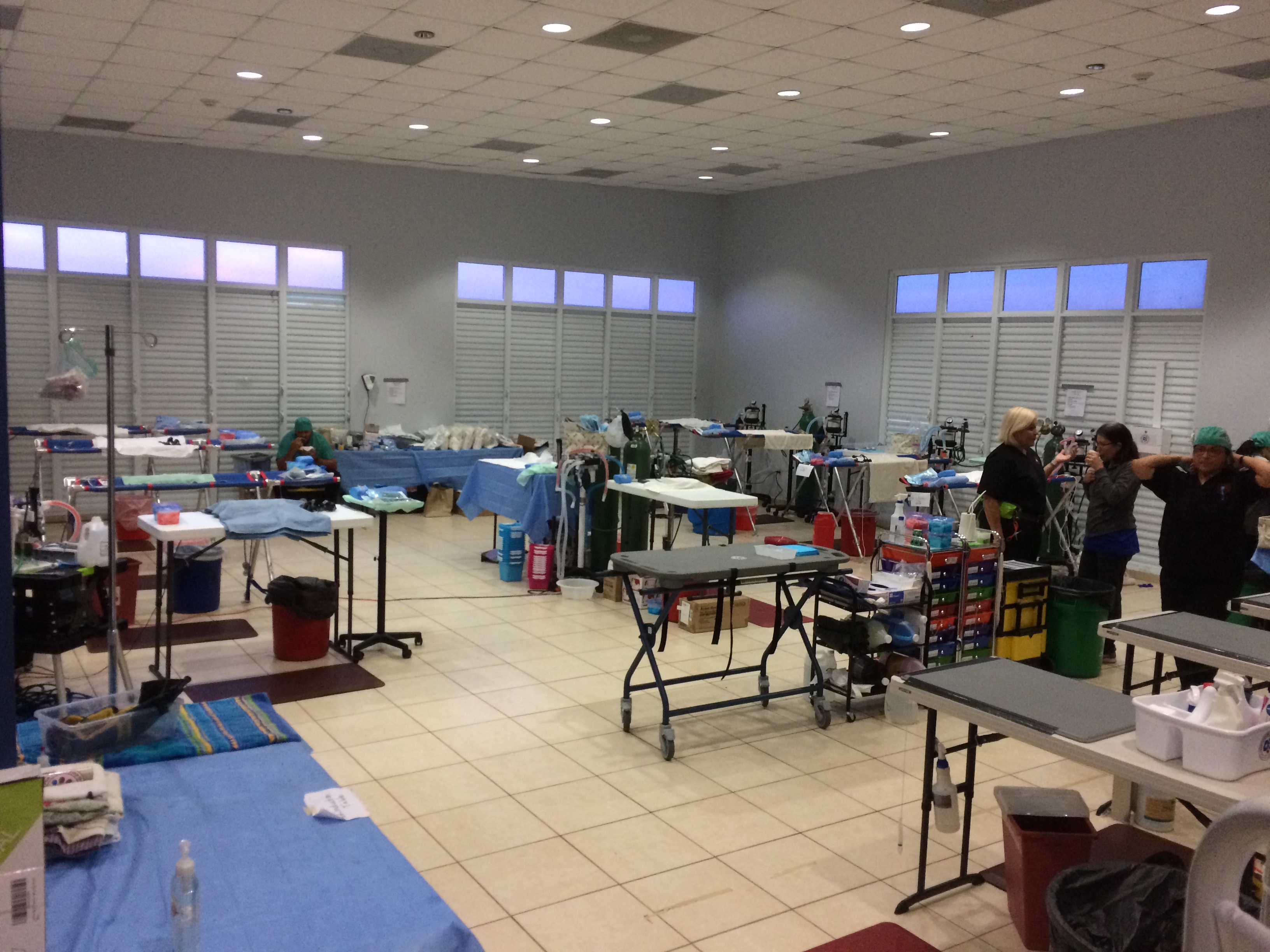 MegaMASH clinic The Spayathon for Puerto Rico ergovet