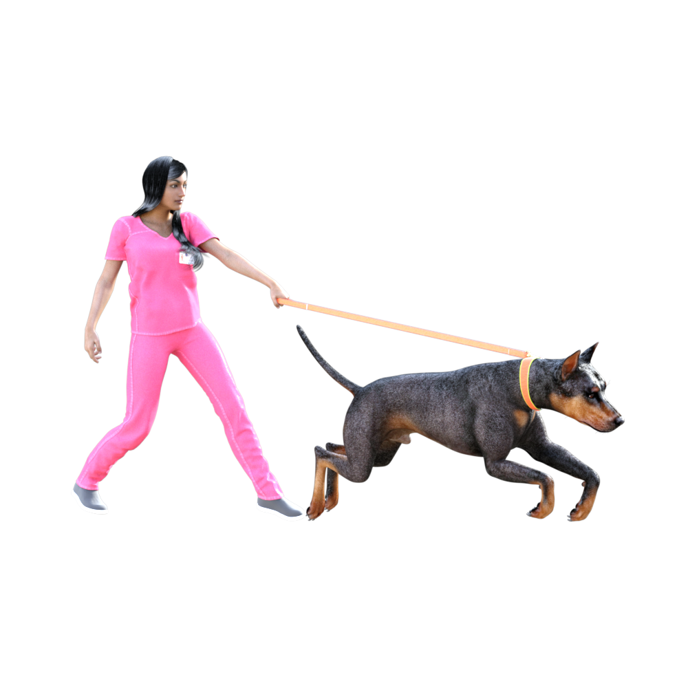 ergovet | Ergonomic Solutions in Veterinary Medicine